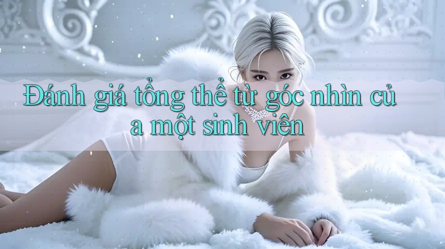 Đánh giá tổng thể: Từ góc nhìn của một sinh viên