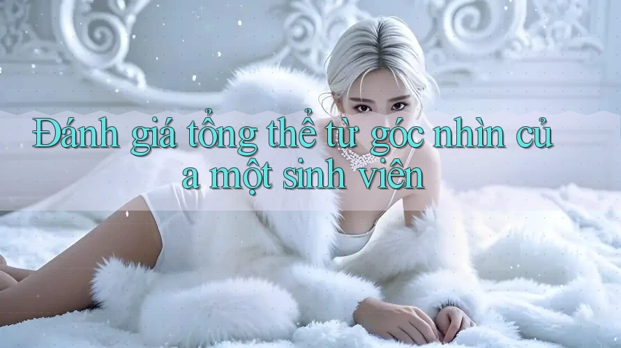 Đánh giá tổng thể: Từ góc nhìn của một sinh viên