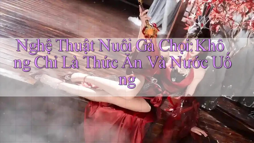 Nghệ Thuật Nuôi Gà Chọi: Không Chỉ Là Thức Ăn Và Nước Uống