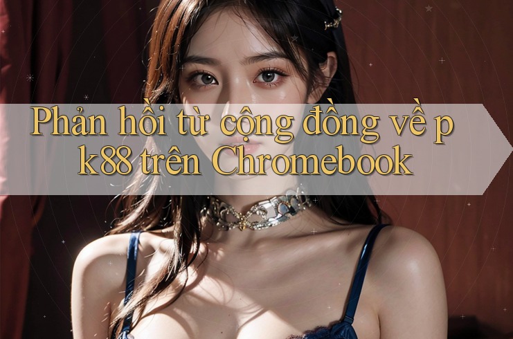 Phản hồi từ cộng đồng về pk88 trên Chromebook