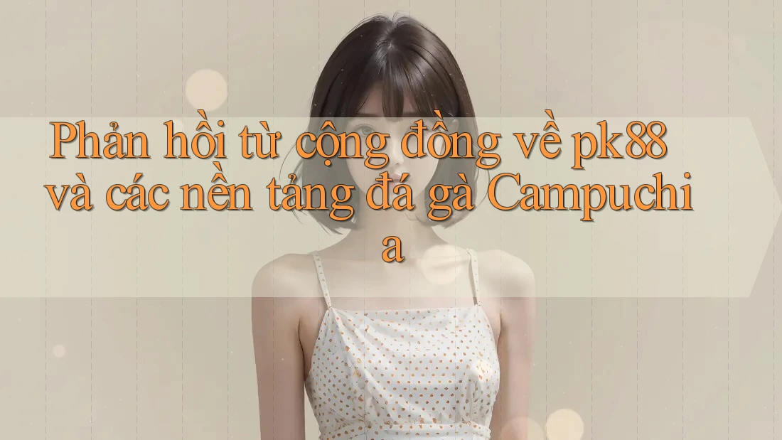 Phản hồi từ cộng đồng về pk88 và các nền tảng đá gà Campuchia Phản hồi từ cộng đồng về pk88 và các nền tảng đá gà Campuchia